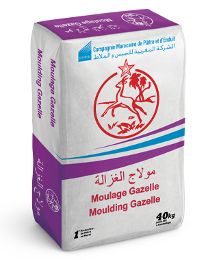 Gazelle Moulage
